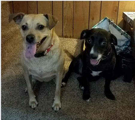 Nova and Zara