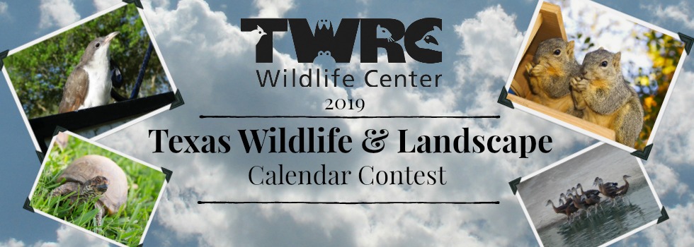 TWRC Wildlife Centerâ€™s 2019 Calendar Contest
