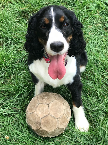 Lucy