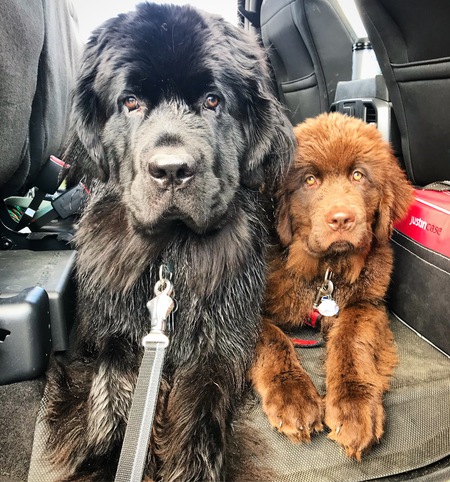 Moka & Ember