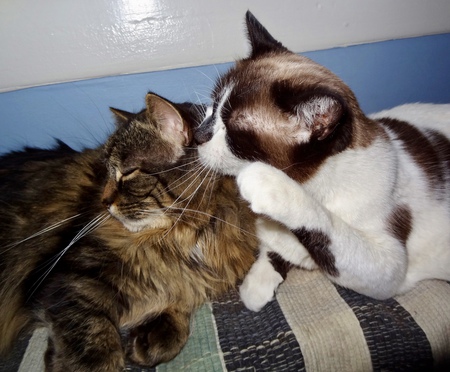 Lucy and Lily