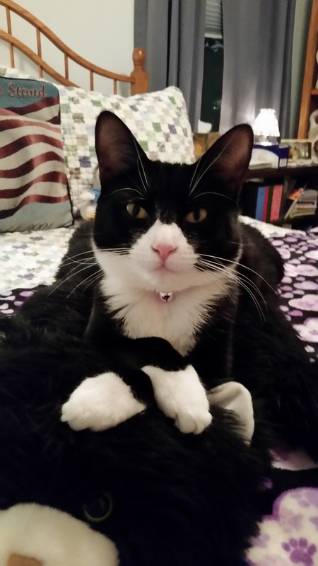 Maui (aka Miss Maui)