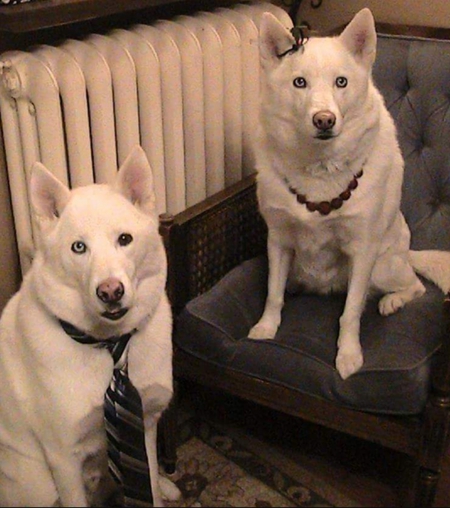 Deano & Sheba