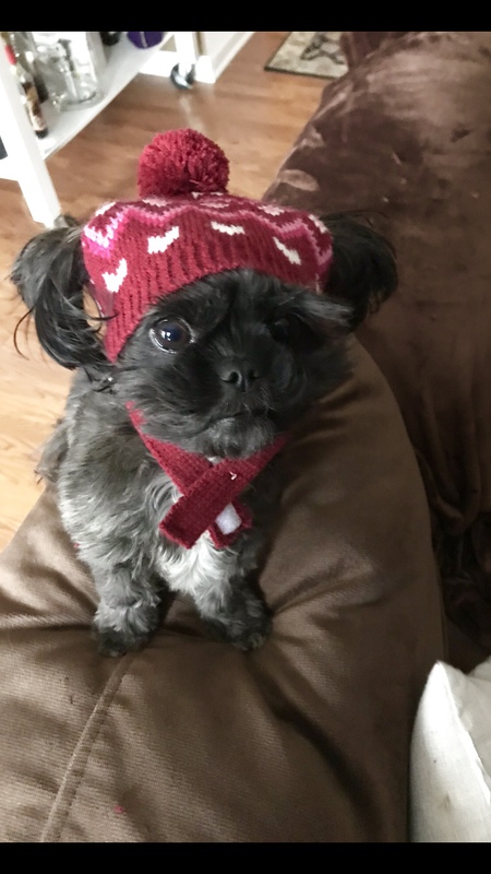 Sadie