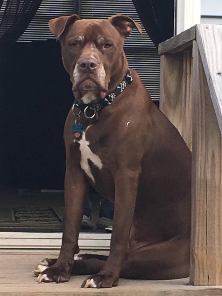 Larry (Lawrence P. Doggington)