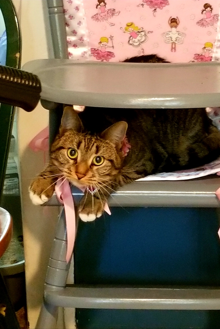 Bonnie