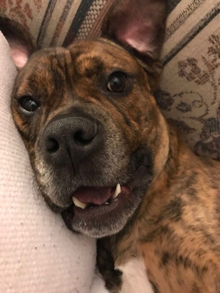 Marley 