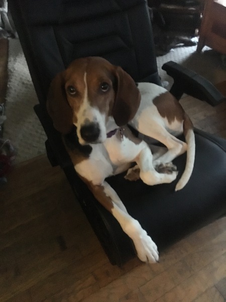 Ellie