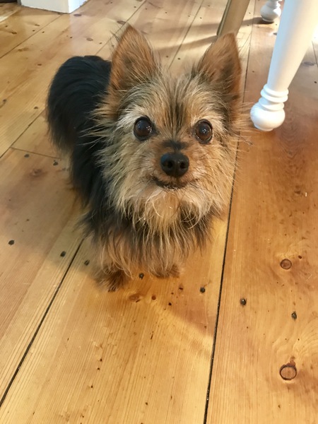 Zoey