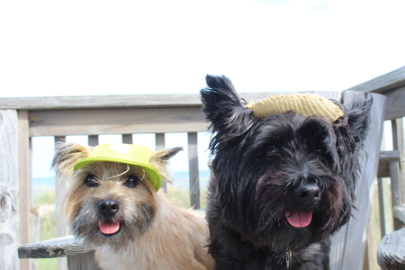 Oscar and Felix