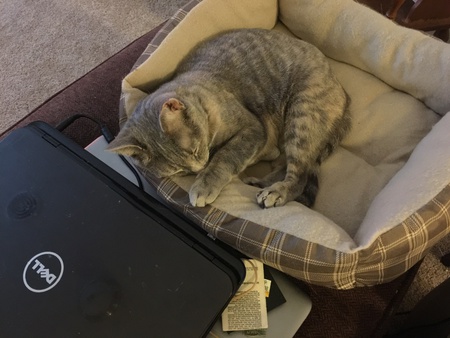 Ms Cuteness 