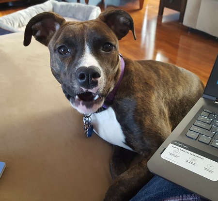 Leila