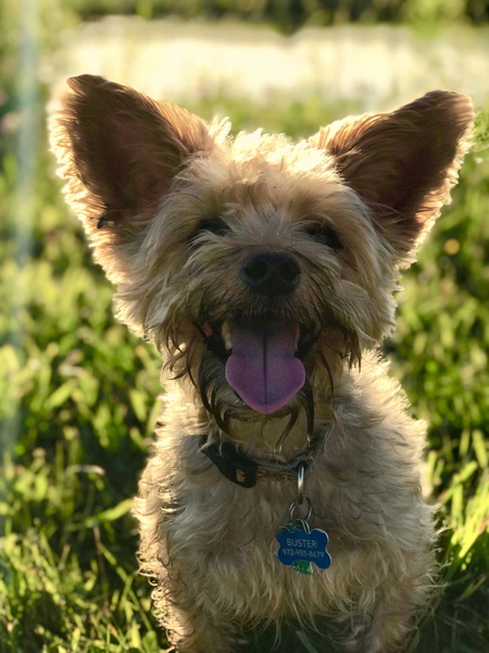 Buster