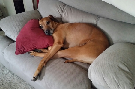 Huxley