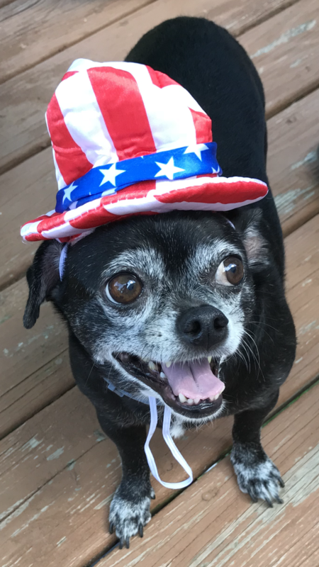 Gizmo