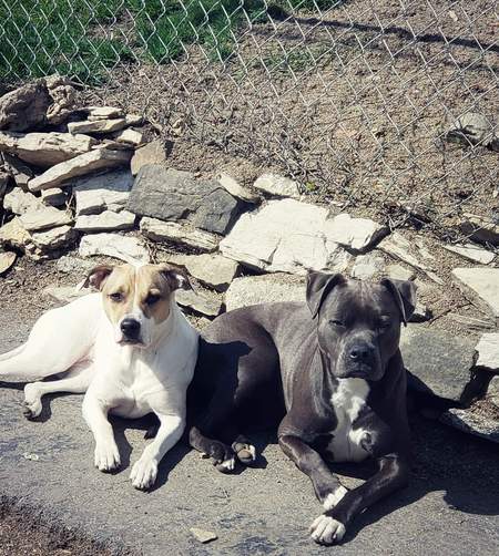 Zoey and Chloe