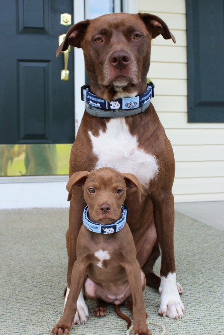 Marley and Maisey