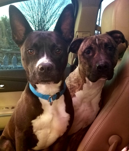 Maggie and Bran
