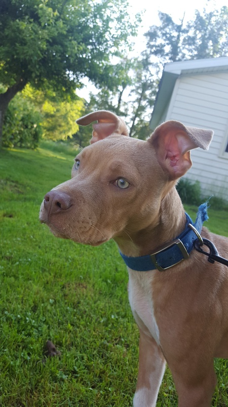 Freya