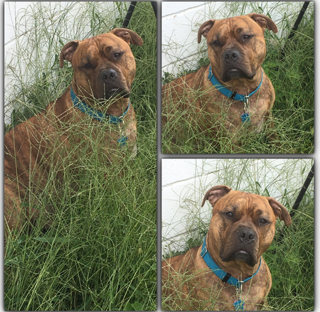 Muddy Butt Jenkins 