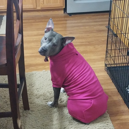 Daphne