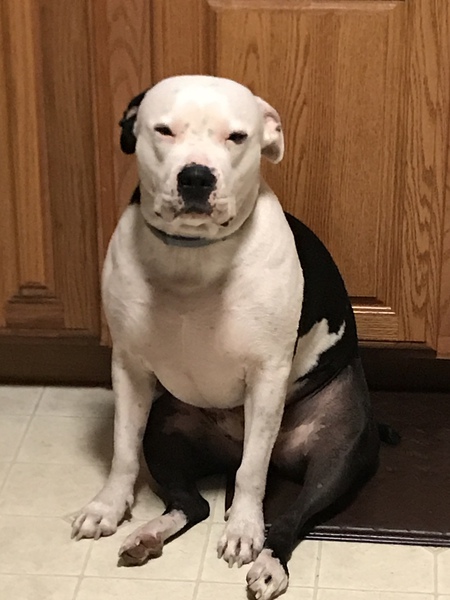 Maxx