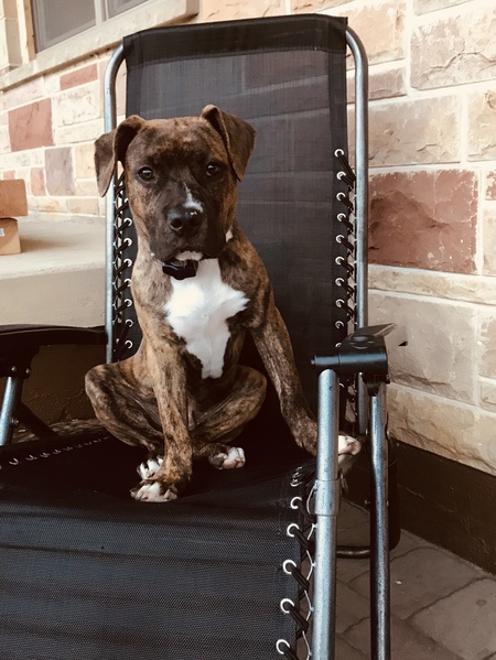 Jax