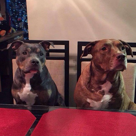 Maggie and Bella