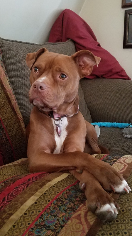 Ember
