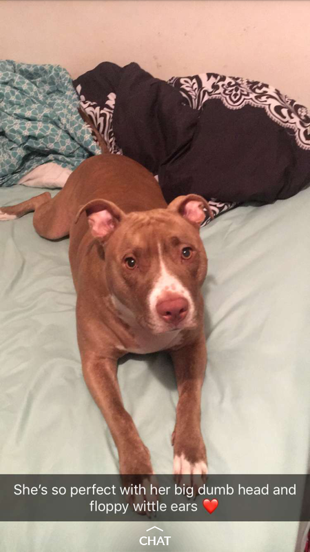 Nala