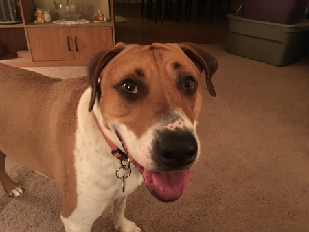 Sam