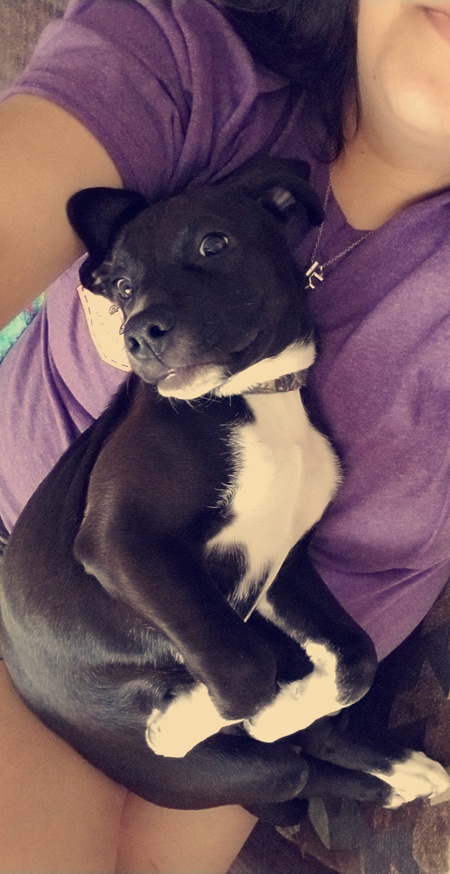Odin