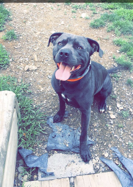 Dakota