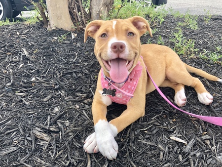 Penelope 