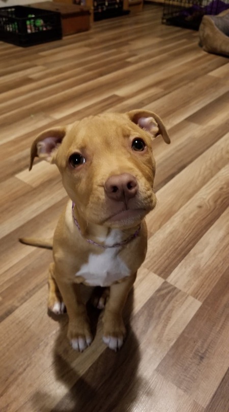 Zoey Duvall