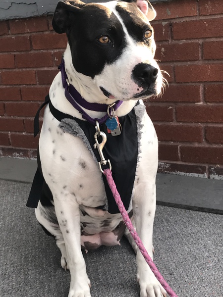 Roxy mathers