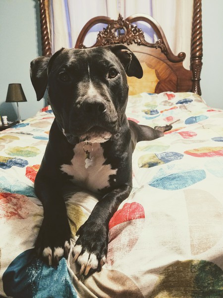 Gunner
