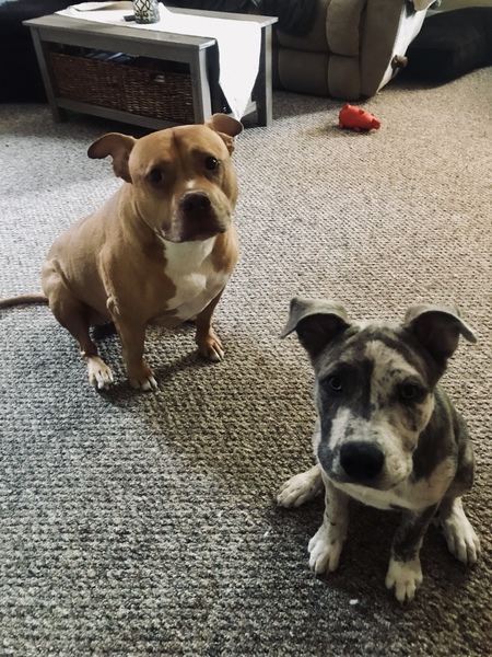 Leo Marvin & Wendy Junebug