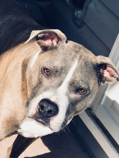 Capone