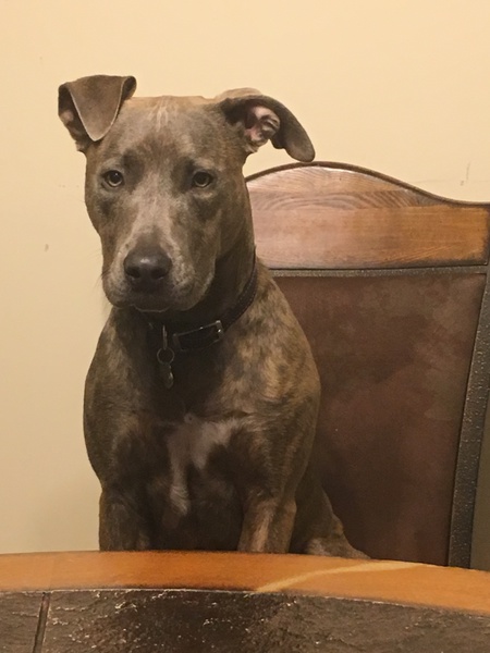 Marley