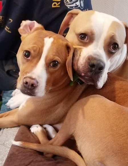 Ruby & Dozer