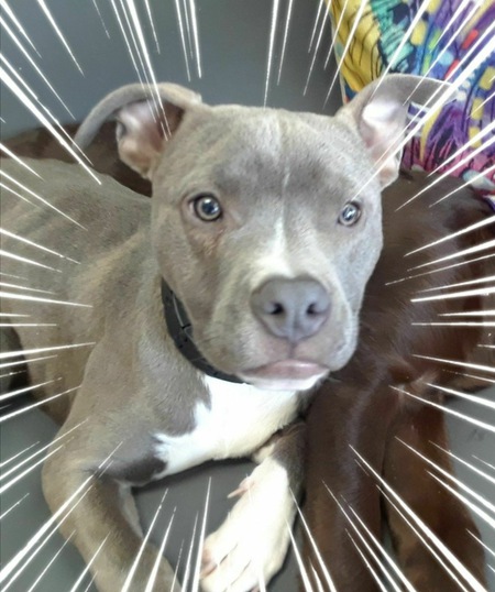 Jax