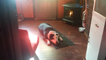 Duke