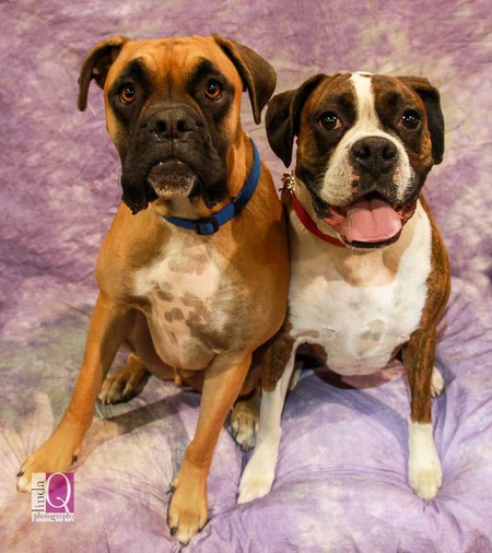 Sugar and Moses