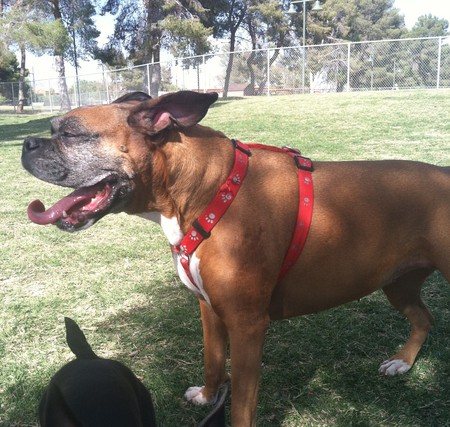 Zoey 