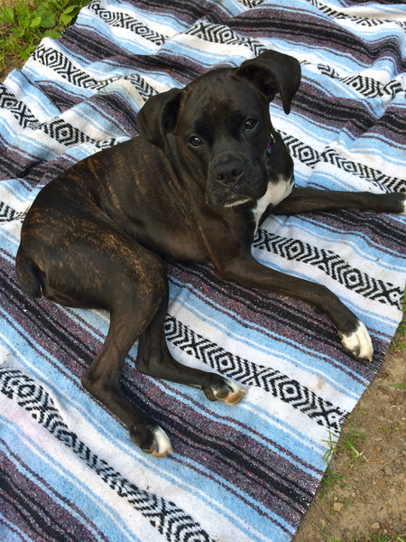 Xena