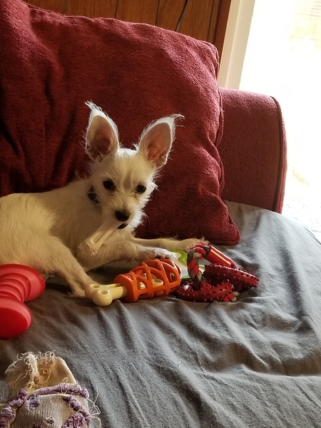 Max