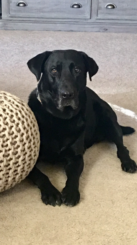 Winston