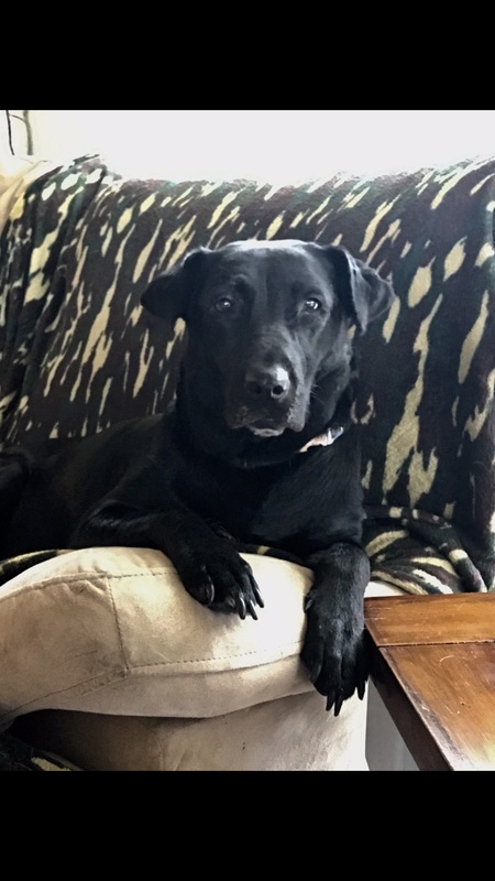 Harley Jane (Mama Jane)