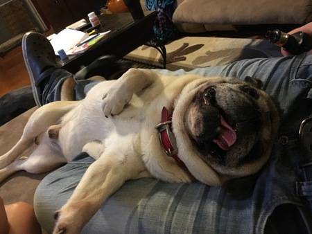 Frankie